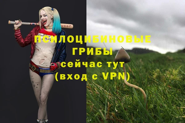 бошки Алексеевка