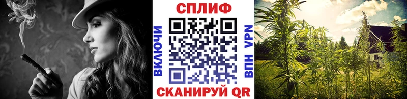 купить наркотики цена  Малаховка  Каннабис Ganja 